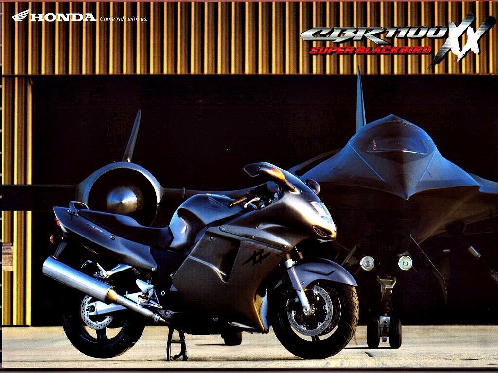 honda blackbird