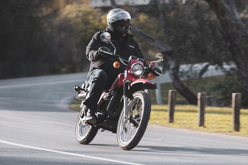 Suzuki
              TS185