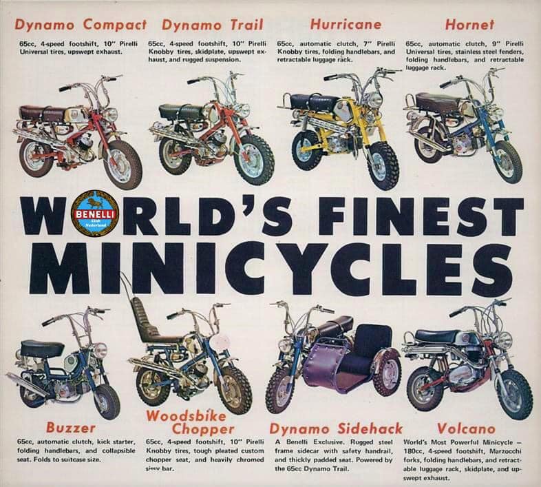 Benelli
                minibikes