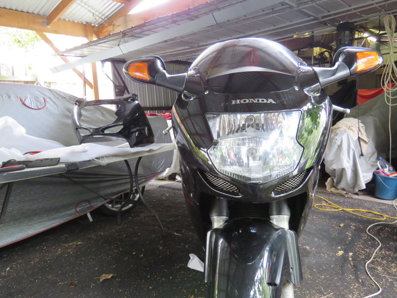 Honda Blackbird