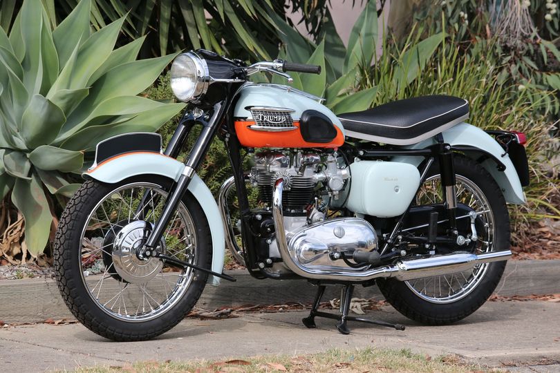 1959 Triumph
              Bonneville