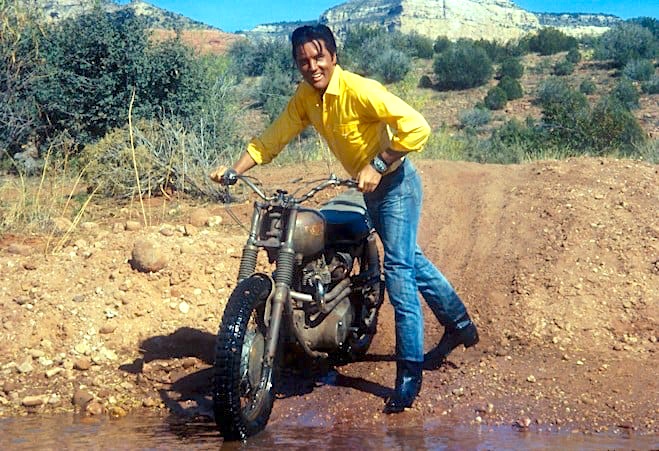 elvis triumph