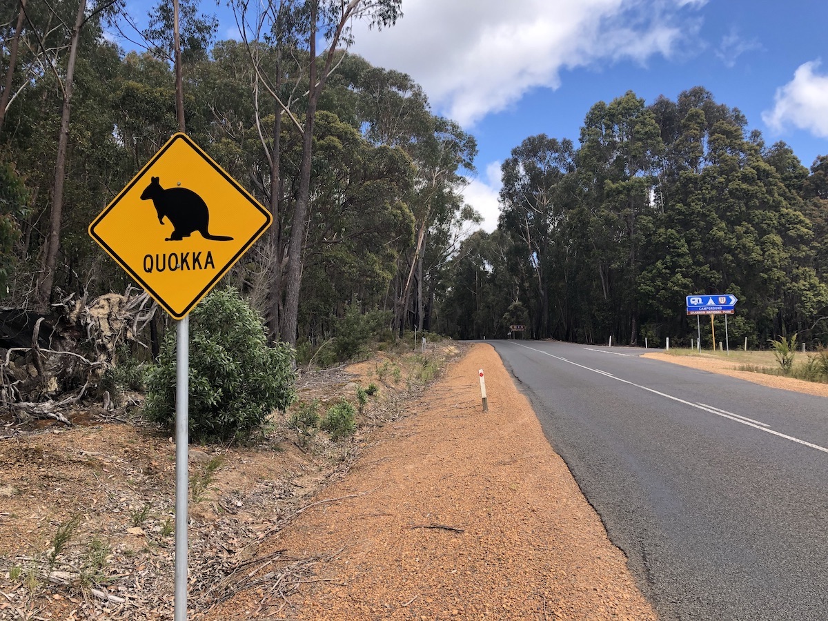 quokka sign