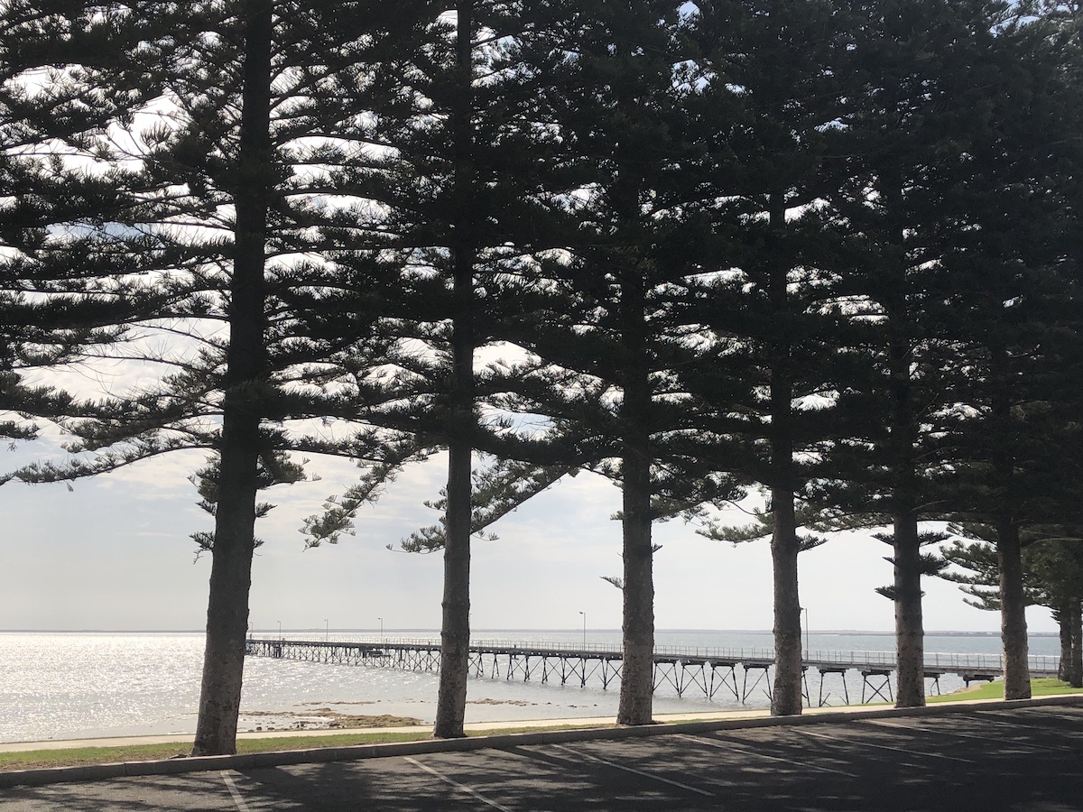 ceduna shore