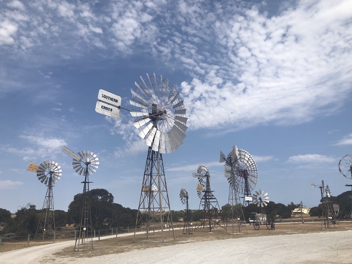 penong windmills