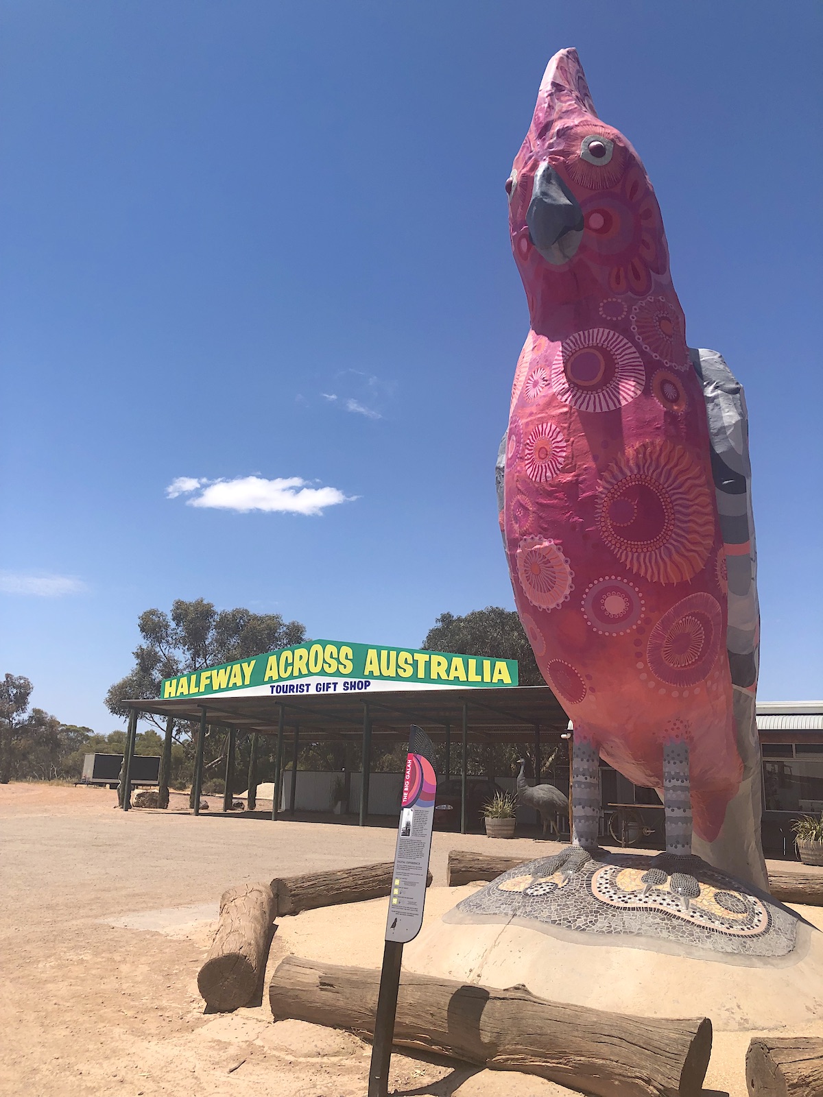 galah kimba