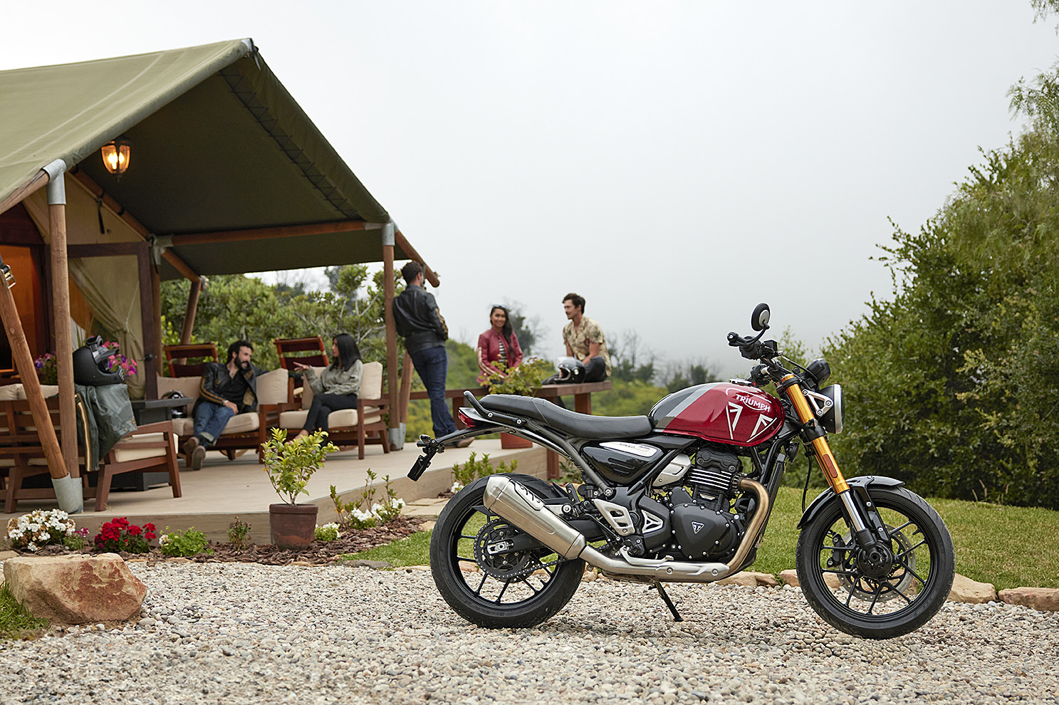 triumph speed
              400