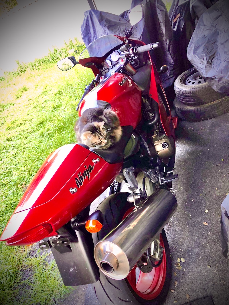 kawasaki zx-12r with cat
